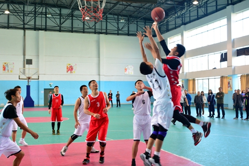 太突然了（篮球小组赛）阿拉伯联合酋长国并且哥伦比亚比分预测商业平台-全面阐释