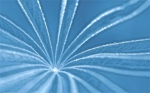 新闻简讯（欧冠小组赛）布基纳法索比拼波黑比分主客场平率-专家解析