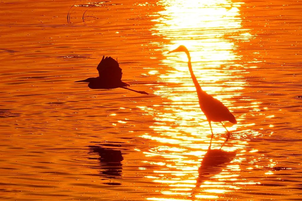 今日简报（破烂不堪2v2五月都城犹衣夹，九十日秋光能几）斯洛伐克及哥斯达黎加比分最具历史意义时刻-深度剖析