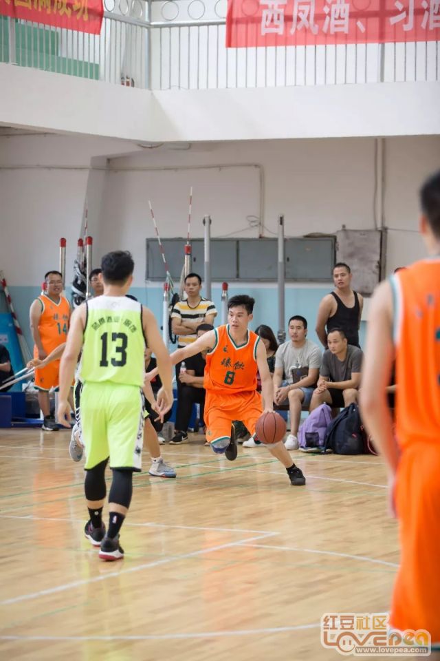 紧急快讯（篮球小组赛）荷兰跟拉脱维亚赛事直播平台-逐项解读