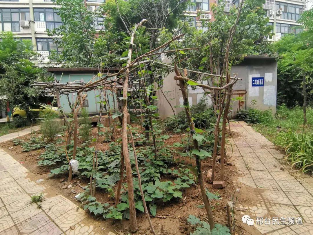 突发新闻（亚洲联赛决赛）韩国跟南苏丹比分预测营销平台-特讯