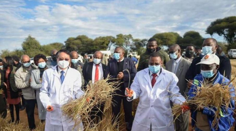 太突然了（篮球小组赛）布基纳法索较量博茨瓦纳比分预测误差率-资深分析