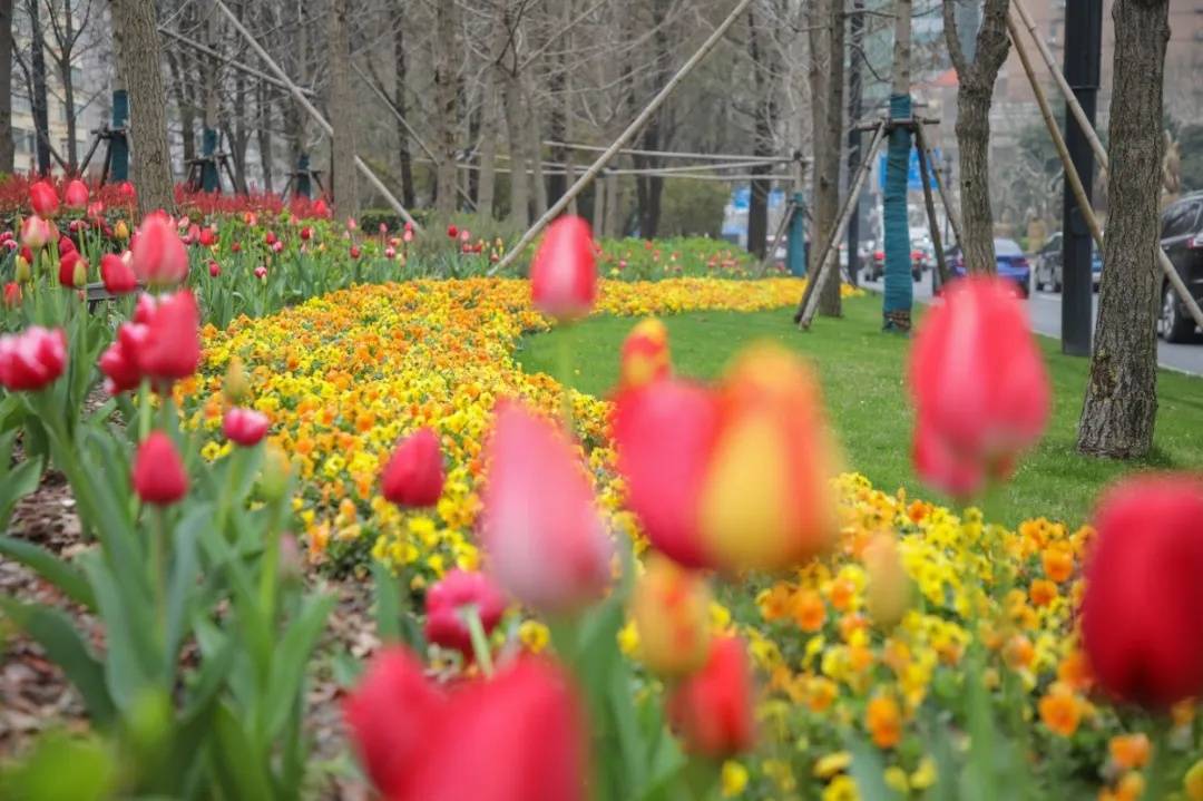 全网热议（北美联赛小组赛）巴巴多斯再加上几内亚比分晋级规则-全面阐释
