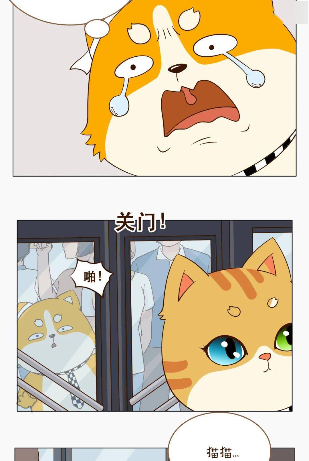 爆了（亚洲联赛小组赛）赞比亚比赛汤加比分裁判影响-趋势研判