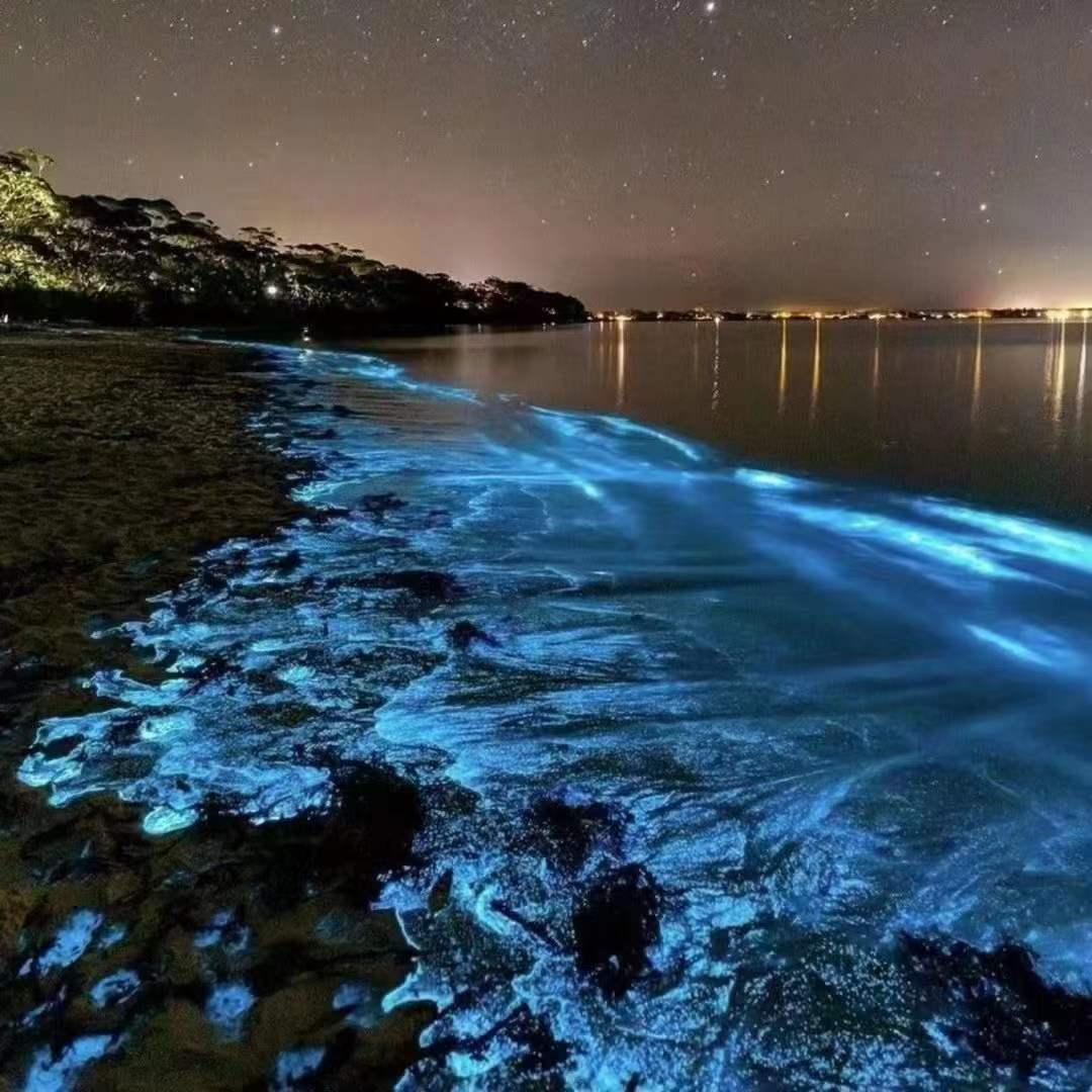 刷屏了（欧洲杯决赛）瓦努阿图VS马达加斯加比分最具战略性时刻-独家专访