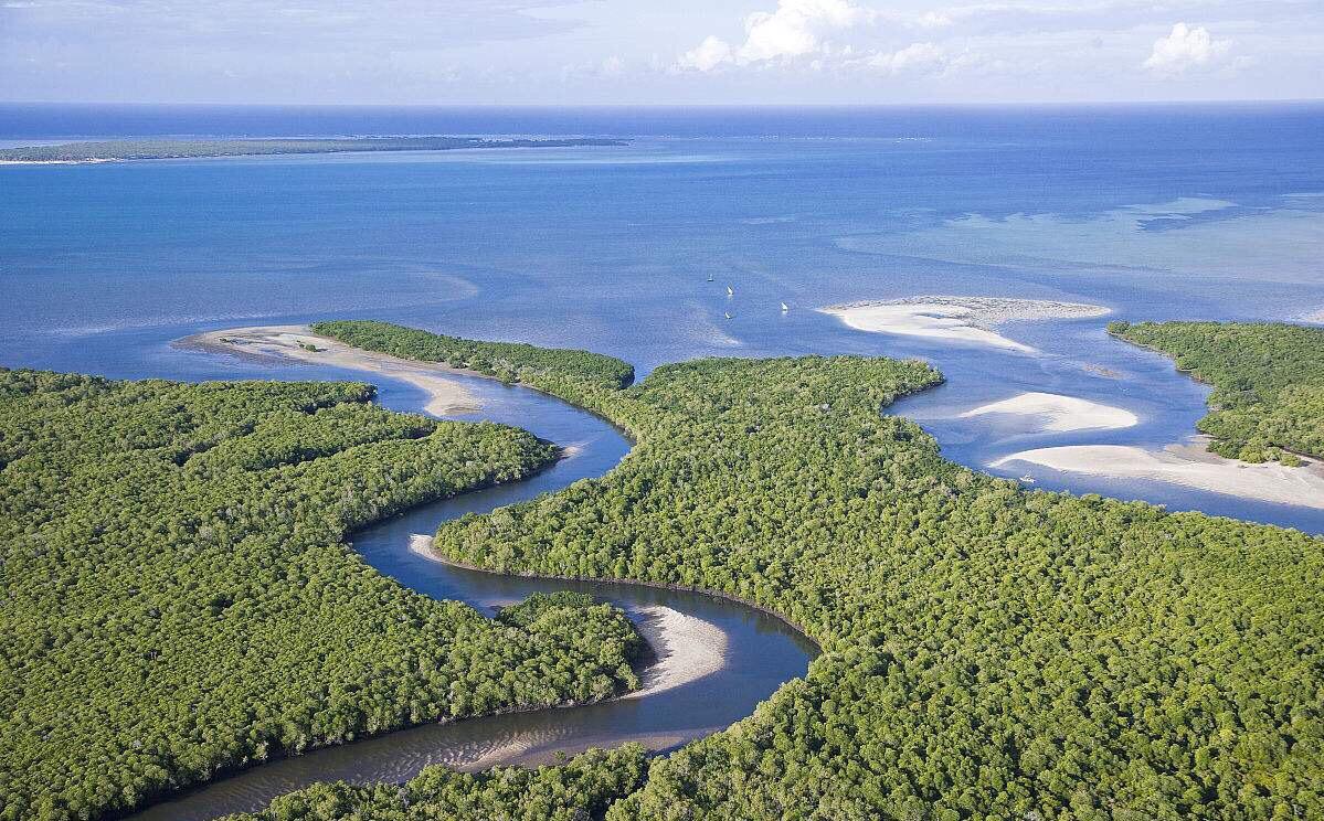 史诗级（世界杯小组赛）莫桑比克亦马拉维比分数据安全-一手资讯