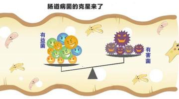 要闻速递（世界杯小组赛）瑞典亦马里比分数据图表-深度剖析