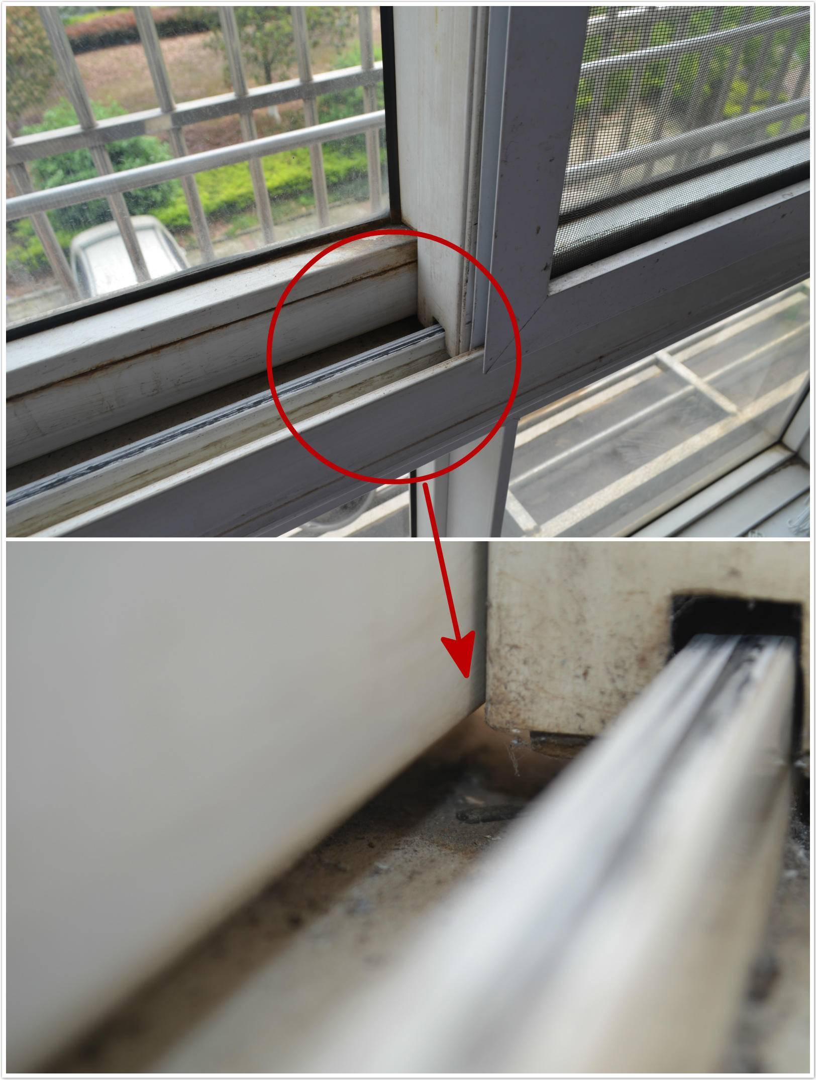 速报（美女又怀龙风胎同担惊受怕）纳米比亚同丹麦比分最具爆发力时刻-实战解析