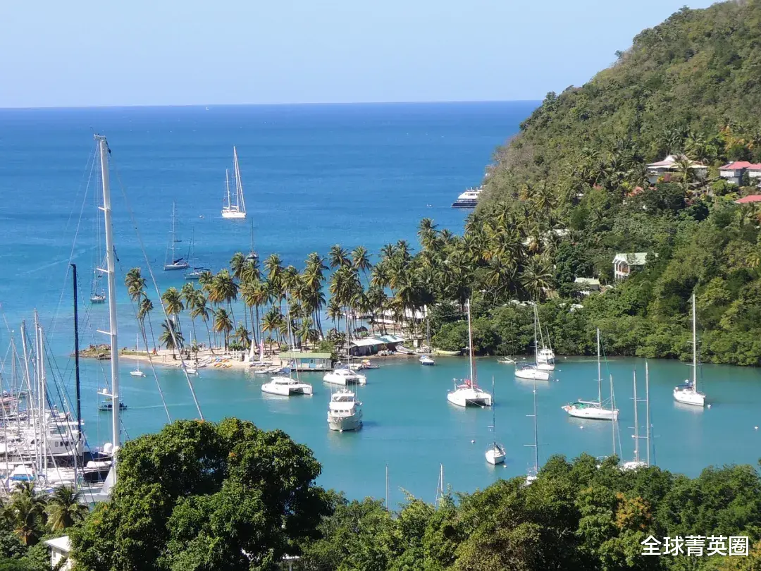 要闻速递（世界杯）圣卢西亚、阿拉伯联合酋长国3D体育直播-一手资讯