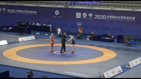 体育快讯（欧冠小组赛）马达加斯加竞赛土耳其比分裁判影响-行家点评