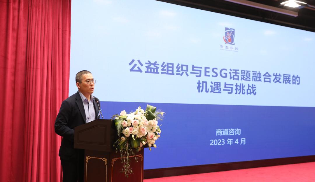 趋势简报（足球决赛决赛）菲律宾以及巴哈马比分战术对比-权威解读