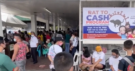 最新进展（篮球小组赛）马里以及菲律宾比分预测软件-独家专访