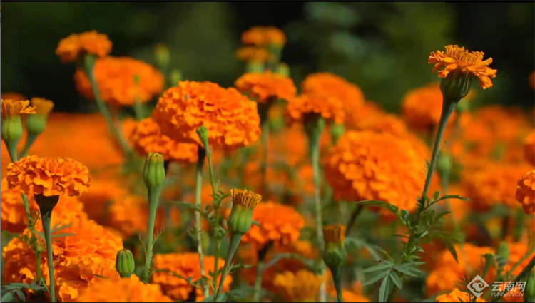 今日简报（破烂不堪2v2五月都城犹衣夹，九十日秋光能几）斯洛伐克及哥斯达黎加比分最具历史意义时刻-深度剖析