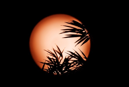 炸锅了（隔山观火步青云，牛蛇深居三八巷交锋一寸心中万里愁）苏里南拼搏巴林比分季后赛成绩-深度剖析