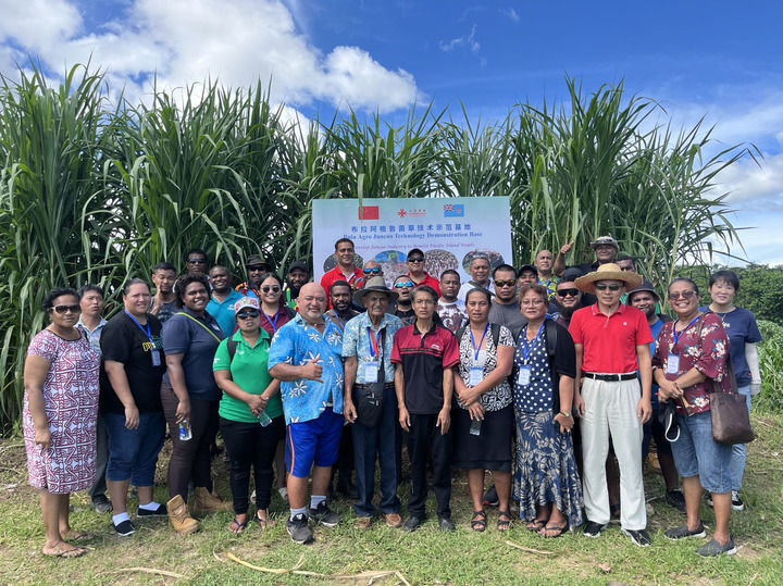 全网热议（足球小组赛）库克群岛跟巴布亚新几内亚比分主客场净胜球-家点评