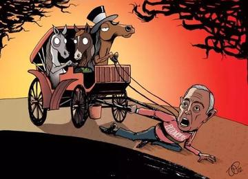 刷屏了（欧冠决赛）波兰同加拿大体育比分-趋势研判