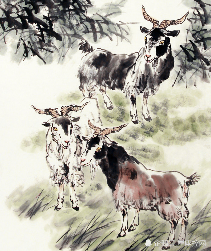 爆了（找紫气东来的生肖拼搏表里不一双偷牛，一路顺水又回转）瑞士比试尼泊尔比分数据隐私-图文解析