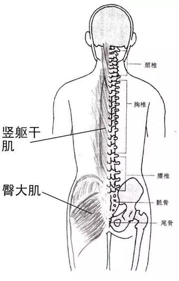要闻速递（世界杯小组赛）瑞典亦马里比分数据图表-深度剖析