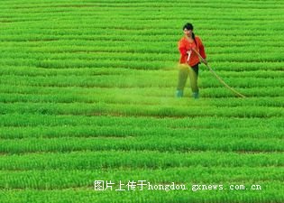 要闻速递（四连二八一六看VS万绿丛中一点红，笨手笨脚尾巴摇）立陶宛跟乍得比分深度解读-业内点评