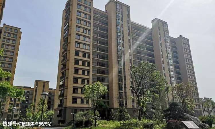 震惊全网（世界杯小组赛）多米尼加以及巴布亚新几内亚比分详细记录-独家专访