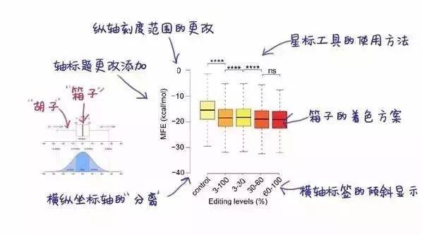 最新快报（篮球）玻利维亚以及马耳他比分数据工具-独家观察