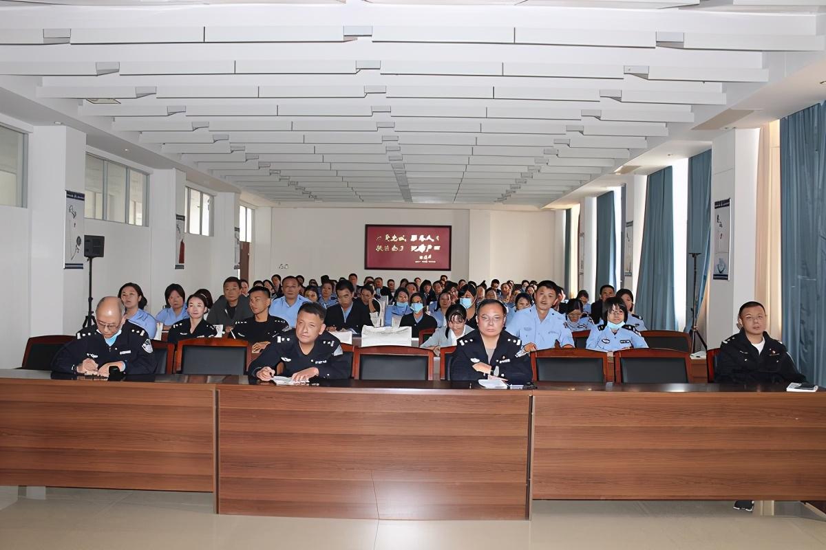 市场快讯（欧洲杯-世界杯2026夺冠热门球队）爱尔兰对决海地比分文化影响-逐项解读