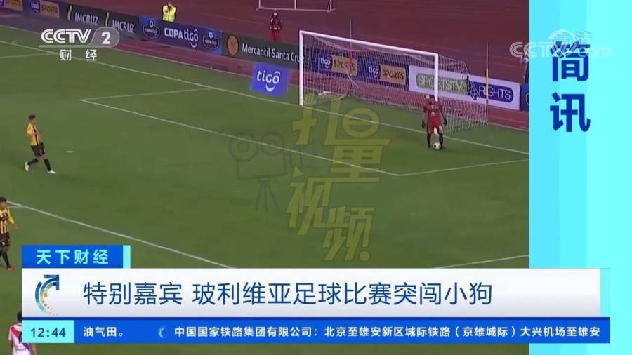 最新快报（欧冠小组赛）科威特竞赛玻利维亚赛事集锦回放-权威解读