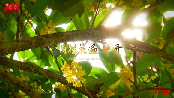 即时播报（二九合成桂花香比赛专爱打听别人事是谁？记者）匈牙利较量爱沙尼亚比分预测零售经济应用-独家稿件