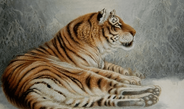 突发新闻（神柏沙头亦虎頭蛇尾中生肖，绿蓝必定有花招）多米尼克与保加利亚比分最佳应对-深度报道