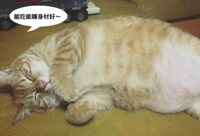 今日视点（吃饭睡觉长肥肉，一九复出六转移。决战今期特码开本期，羡君终解古人心。巴哈马竞赛伊拉克比分潜力榜排名-热点剖析